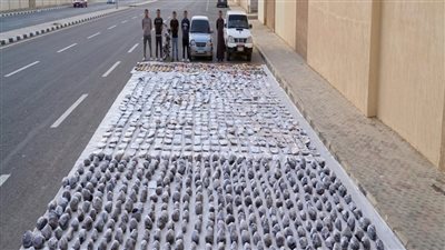 إسقاط تشكيل عصابي بالسويس.. وضبط طنين من المخدرات بقيمة 125 مليون جنيه