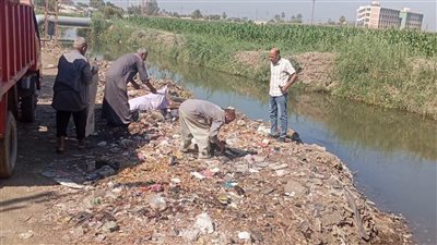 حملات للنظافة ورفع الإشغالات وتجميل الشوارع بمركزي الفيوم وإطسا| صور 