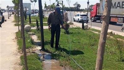 الإسكندرية تواصل التوسع في المساحات الخضراء ضمن مبادرة زراعة 100 مليون شجرة