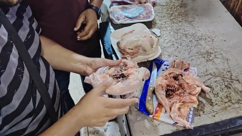 دواجن فاسدة 