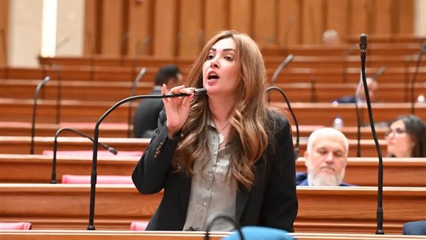 النائبة أميرة العادلي عضو مجلس النواب