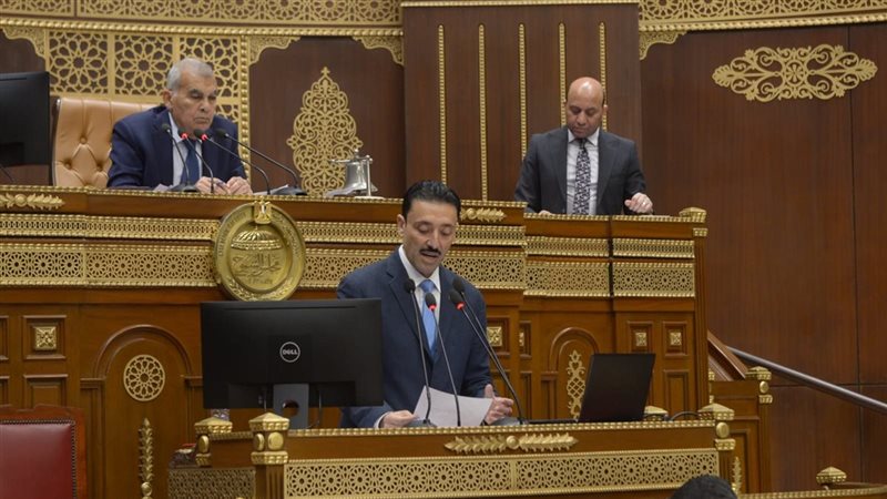 النائب محمد رزق