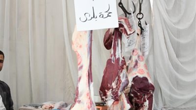 اللحمة بـ320 جنيه، آمنة والأنصاري يتفقدان 