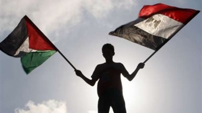 مصر تدين قرار الاحتلال بإنشاء 3500 مستوطنة.. وتطالب باتخاذ موقف دولي تجاه سياسته