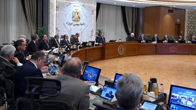 13 قرارا جديدا للحكومة، العفو عن بعض المحكوم عليهم بمناسبة العيد وتحرير سيناء