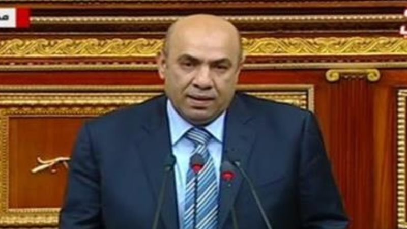 النائب علاء عبد النبي