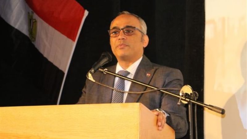 عمرو البسيوني رئيس الهيئة العامة لقصور الثقافة