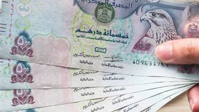 شركات الصرافة الإماراتية ترصد زيادة في تحويلات المصريين