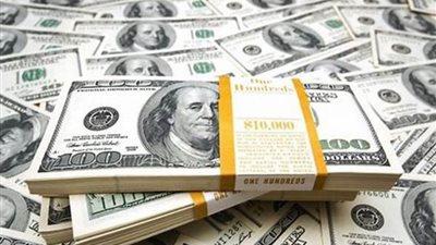 أكبر شركتان للصرافة في مصر تحصلان 20 مليون دولار منذ تحرير سعر الصرف