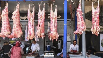رئيس شعبة القصابين يكشف عن مفاجأة بخصوص أسعار اللحوم الحمراء