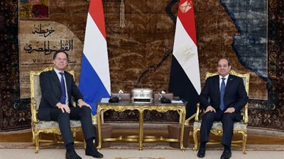 الرئيس السيسي: وقف إطلاق النار في غزة شرط أساسي لاحتواء الكارثة الإنسانية المستمرة
