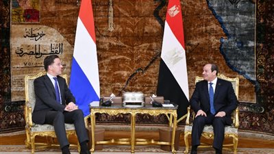 جذب الاستثمارات والقضية الفلسطينية، قضايا اهتم بها السيسي خلال لقائه رئيس وزراء هولندا