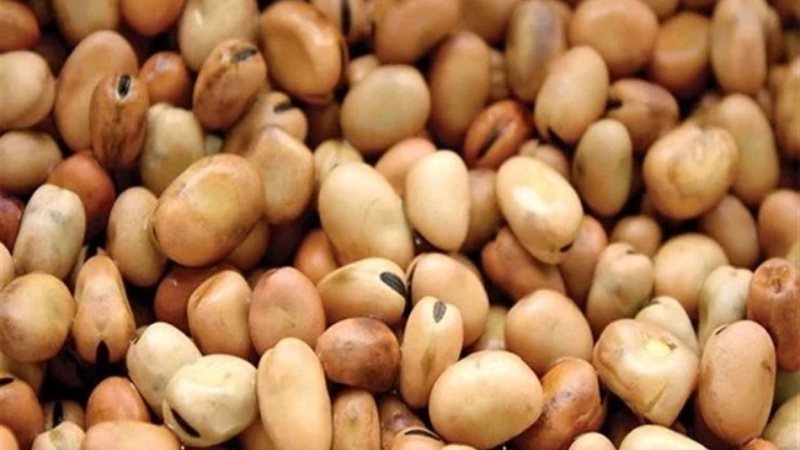 أسعار الفول اليوم الأربعاء 13-3-2024
