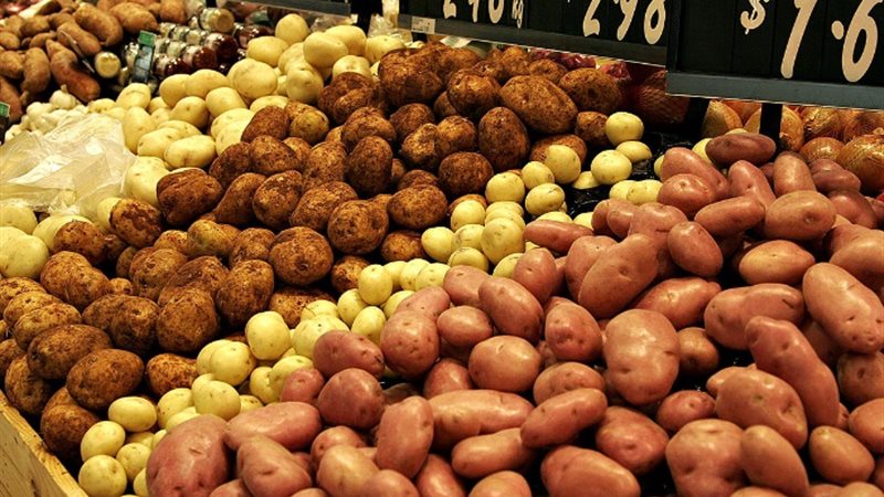 أسعار البطاطس اليوم