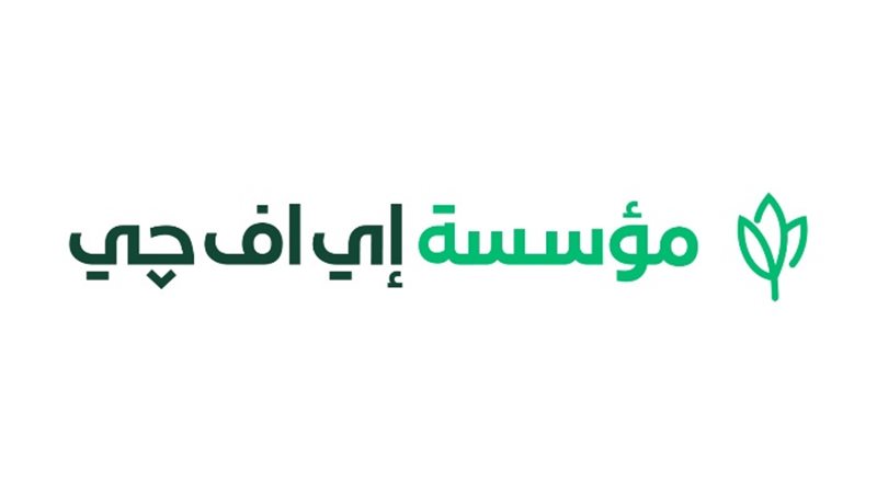 مؤسسة إي اف چي للتنمية الاجتماعية