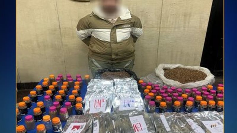 المتهم والمضبوطات