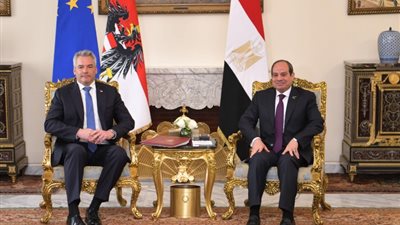 الرئيس السيسي: حل الدولتين يضمن استعادة الأمن والاستقرار  فى الشرق الأوسط