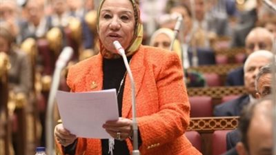 برلمانية: القمة المصرية الأوروبية تؤكد دور مصر الريادي ومكانتها عالميا
