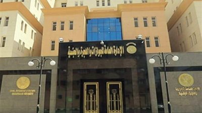 لهذا السبب.. تكليف الأجانب بمصر 