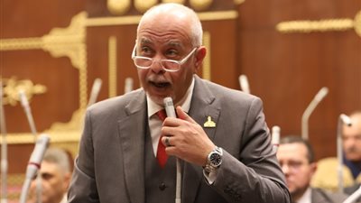 حازم الجندي: مصر ستظل محورا لإرساء السلم الدولي