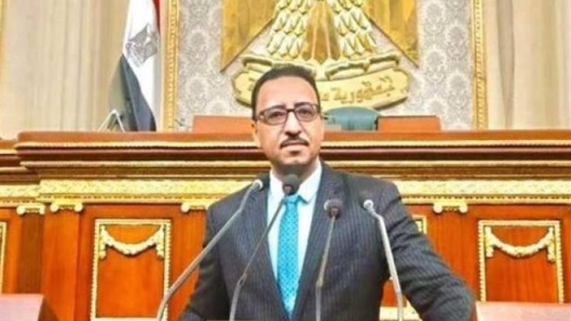 محمد عزت القاضى