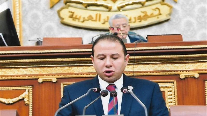 النائب حسن عمار