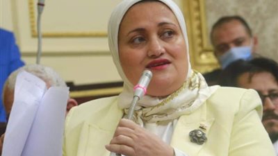 سؤال برلماني حول تقرير المركزي للتعبئة عن