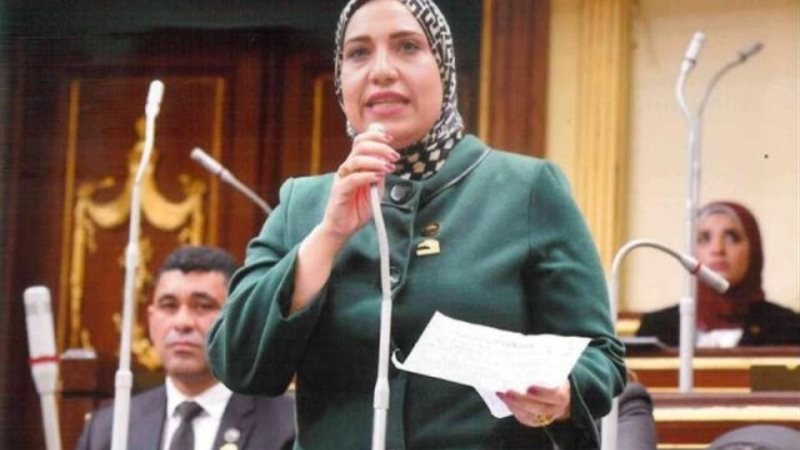 النائبة حنان عبده عمار