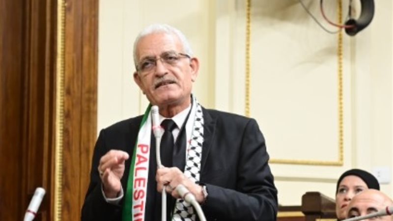 النائب عاطف المغاوري