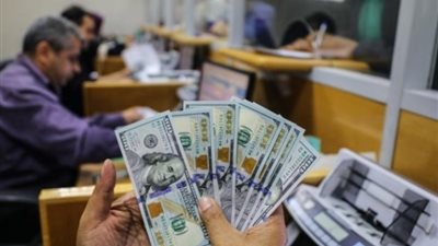 2.3 مليار جنيه تنازلات عن العملات الأجنبية بـ«مصر للصرافة»