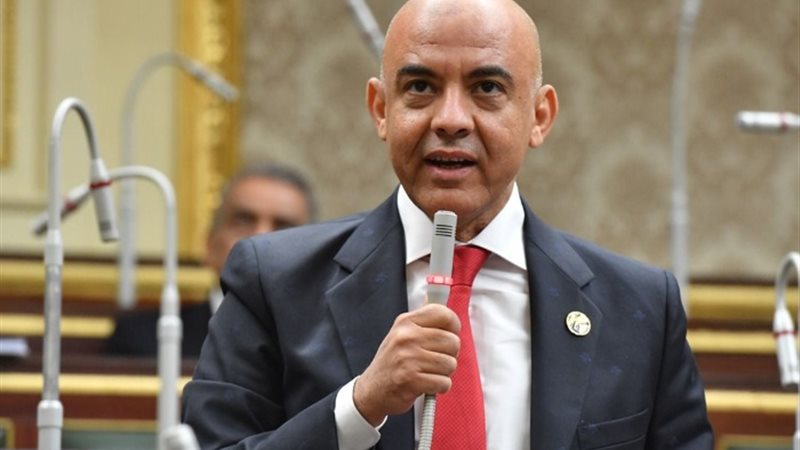 النائب عمرو هندي