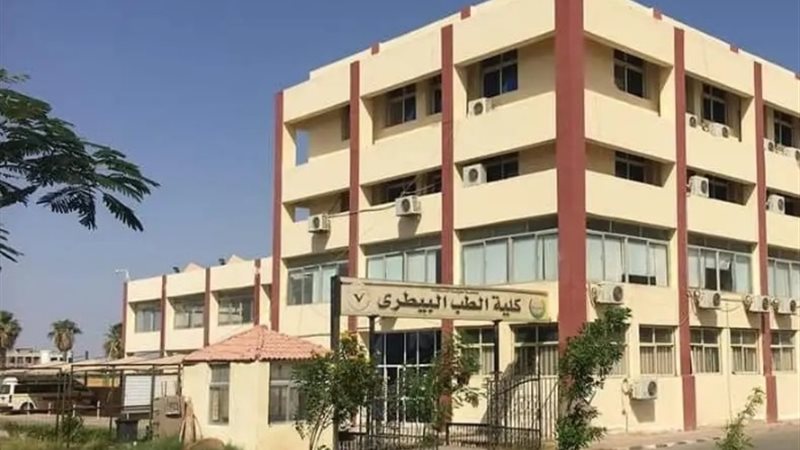كلية طب بيطري