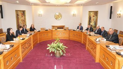 شكرى: عجز مجلس الأمن عن إيقاف إطلاق النار بغزة لم يعد مقبولا