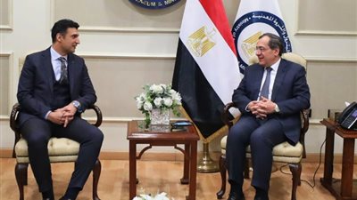 هني ويل: مصر ستتحول لمركز إقليمي لإنتاج وقود الطائرات المستدام
