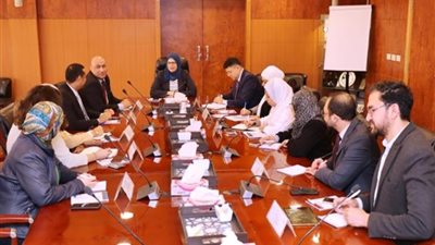 «التنمية الصناعية» تطور 4 مناطق بمحافظات مصر بالشراكة مع الأمم المتحدة