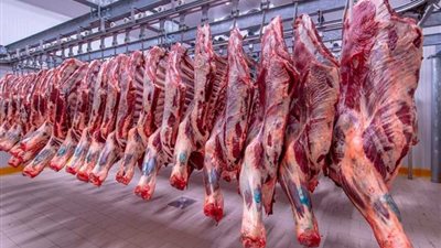 تراجع في أسعار اللحوم اليوم الخميس 28 مارس 2024