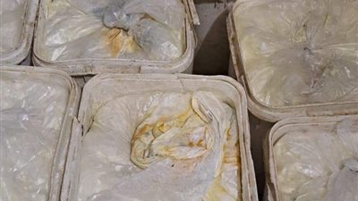 تحرير 143 محضرا وضبط 1.565 طن زبيب منتهى الصلاحية في حملات مكثفة بدمياط
