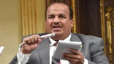 وكيل اقتصادية النواب: مصر شهدت طفرة اقتصادية كبيرة في عهد الرئيس السيسي