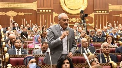 برلماني: السيسي صنع الأمل للمصريين وحقق الأمن مع مواجهة التضخم النقدي