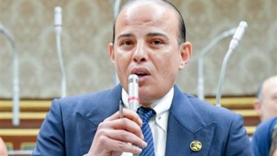 «اقتصادية النواب»: كلمة الرئيس بحفل التنصيب خارطة طريق للفترة المقبلة