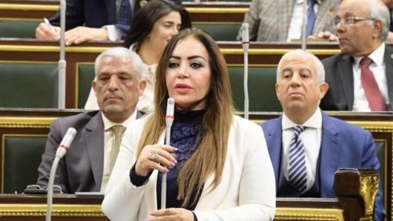 النائبة جيهان بيومي