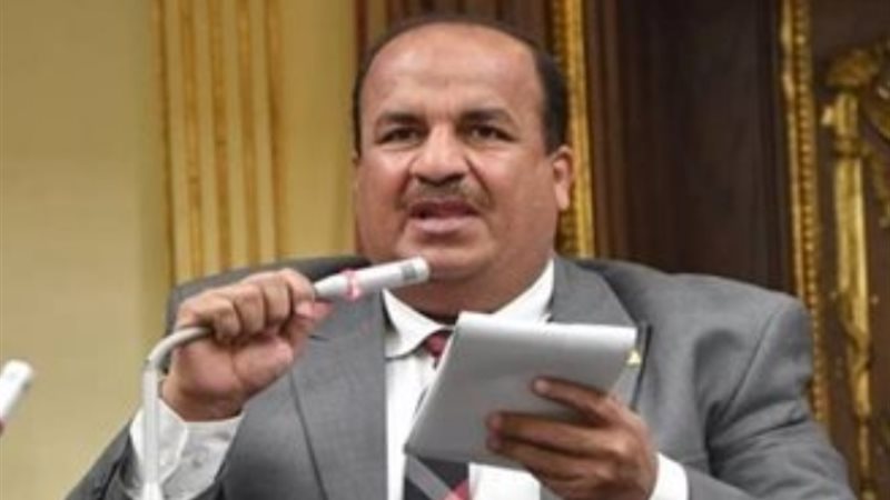 النائب محمد على عبد الحميد