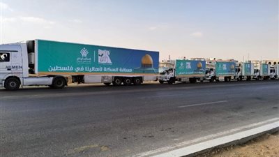87 % من إجمالي المساعدات الإنسانية لغزة من مصر  ( فيديو )