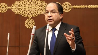 عضو بالشيوخ: كلمة الرئيس السيسي في إفطار الأسرة رسائل تشجيع للمستثمرين