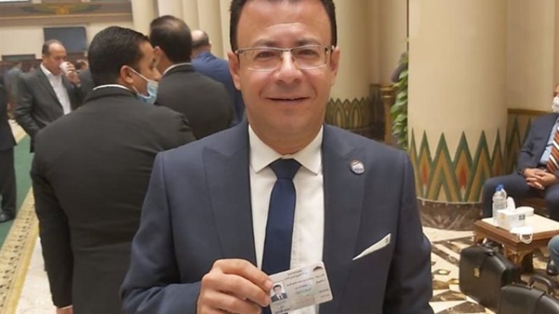 النائب محمود البرعي