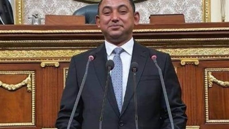 النائب الدكتور ناصر عثمان