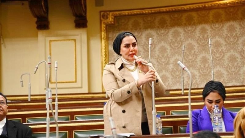 النائبة رحاب موسى