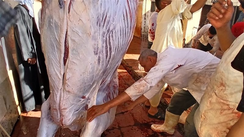 اسيوط
