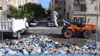 رفع نحو 121 طنًا من المخلفات ضمن حملة موسعة بمحافظة الإسكندرية| صور 