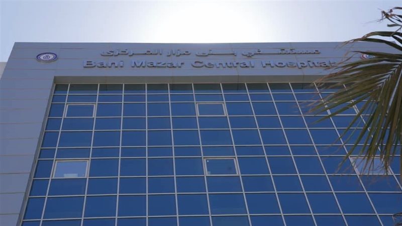 المنيا